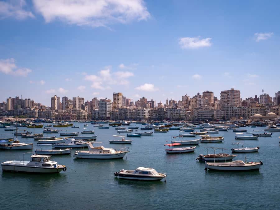 From Alexandria:- Alexandria Top Highlights half-day tour - Library of Alexandria, modern galleries, and the old site location