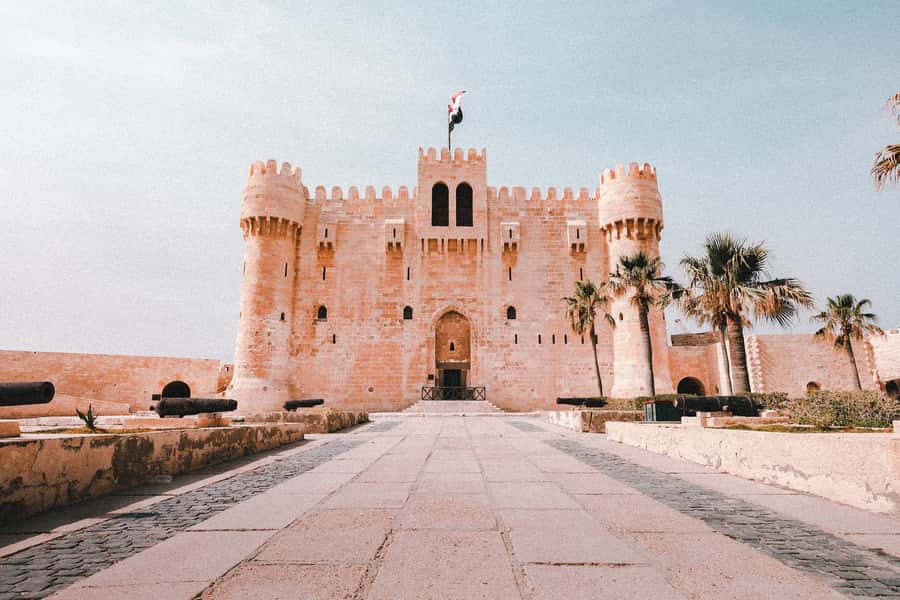 From Alexandria:- Alexandria Top Highlights half-day tour - Optional local food experience: how to make it fit your day