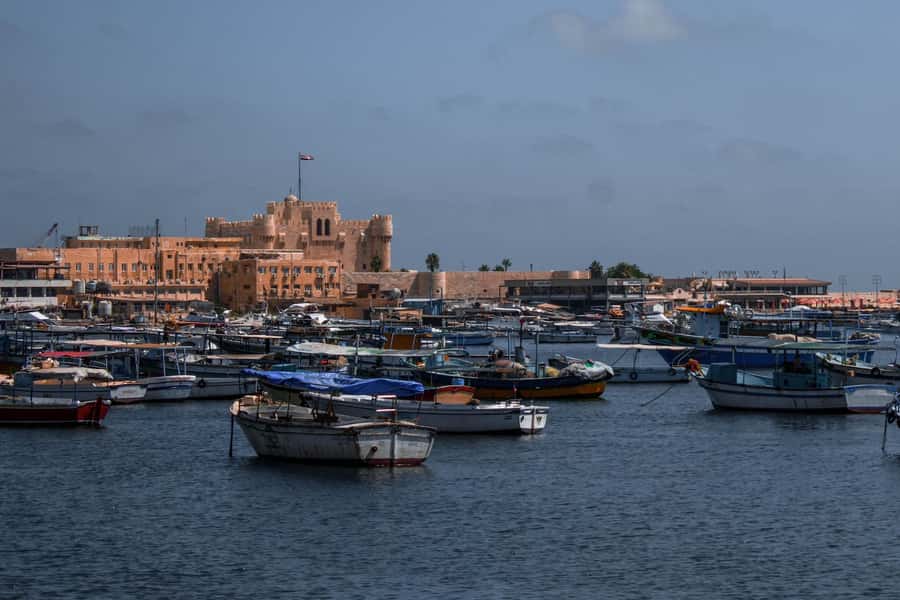 From Alexandria:- Alexandria Top Highlights half-day tour - Price and value at $55 per person, plus what can cost extra