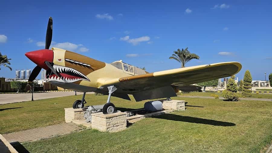From Alexandria: El Alamein Day Trip - Key highlights worth your attention
