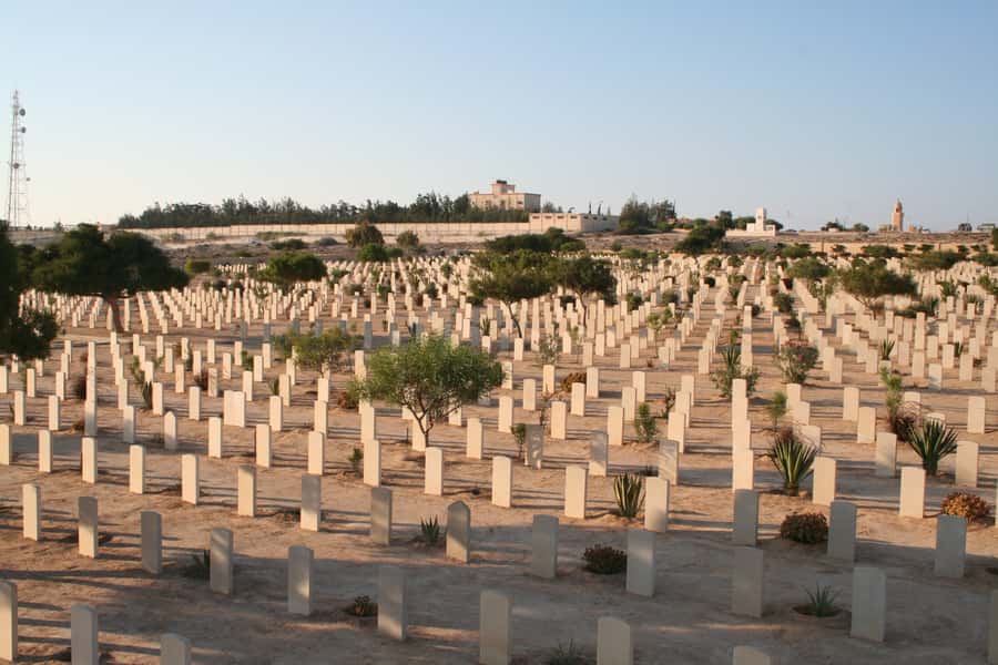From Alexandria: El Alamein Day Trip - El Alamein Village by the Sea: A Breather With a Purpose