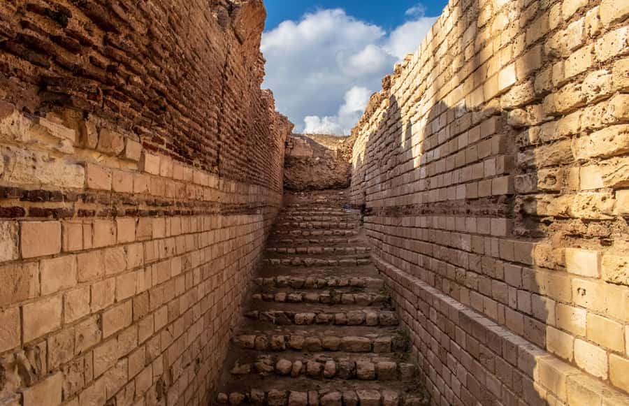 From Alexandria: Highlights of Alexandria Full City Tour - A 5-Hour Day That Actually Feels Like a Plan