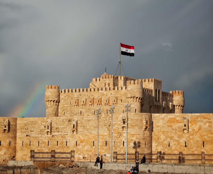 From Alexandria: Highlights of Alexandria Full City Tour - The Oldest and Biggest Mosque Visit