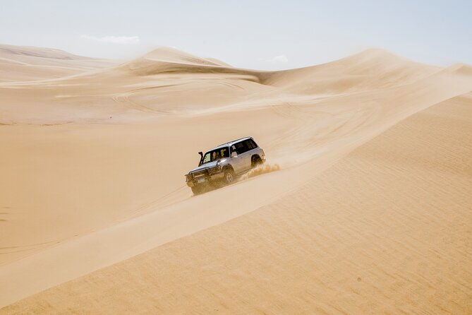 From Cairo 4x4 Safari, Camel Ride, Magic Lake, Waterfalls & Lunch - Key things I’d circle before you go