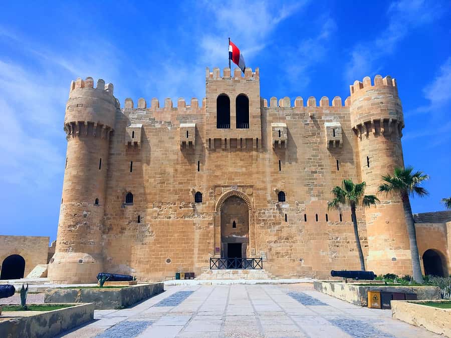 From Cairo: 5-Day Egypt Highlights Private Tour with Flights - Day 5 Alexandria: Kom El-Deka, catacombs, the Great Library, and Qaitbay Citadel