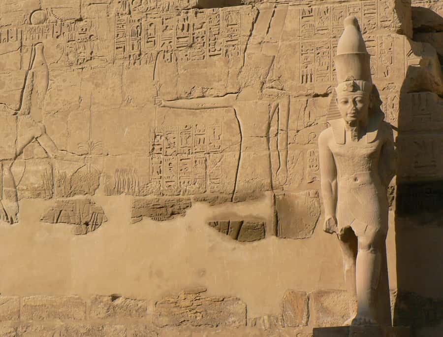 From Cairo: 5-Day Tour with Nile Cruise, Balloon, & Flights - Day 5 Luxor hot air balloon, Valley of the Kings, Hatshepsut, Colossi, and Karnak