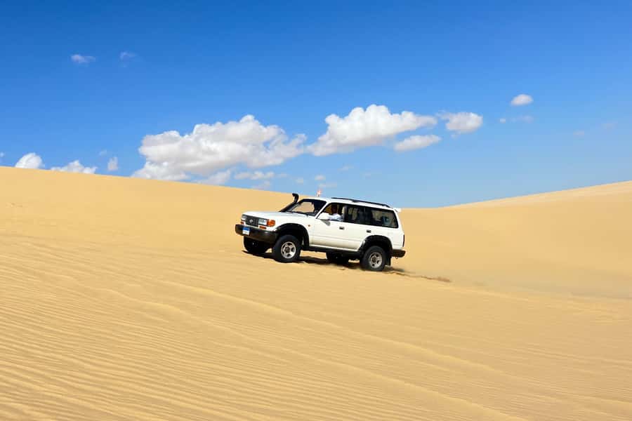From Cairo: Desert Safari, Camel Ride, Magic Lake, & Lunch - From Cairo Pickup to Qarun Lake: a long day with a clear rhythm