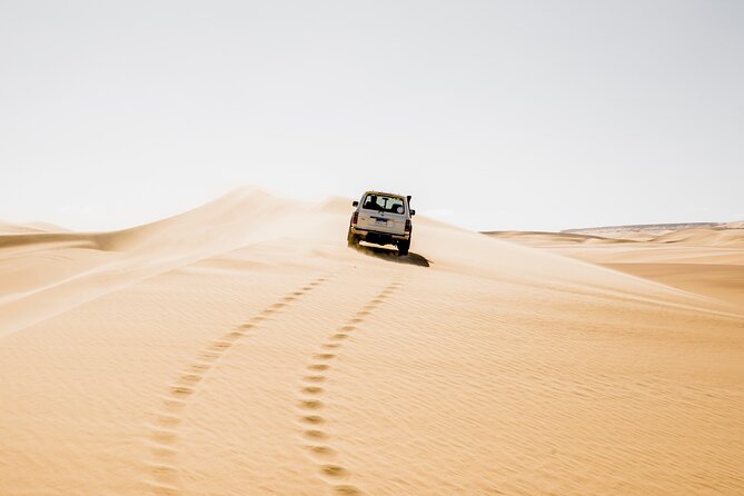 From Cairo: Desert Safari, Waterfalls, Sand boarding and Camel ride with Lunch - Key things to know before you go