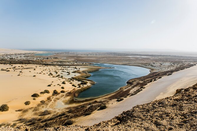 From Cairo: Desert Safari, Waterfalls, Sand boarding and Camel ride with Lunch - Camel Ride in the Desert: Fun, But Watch the Scheduling