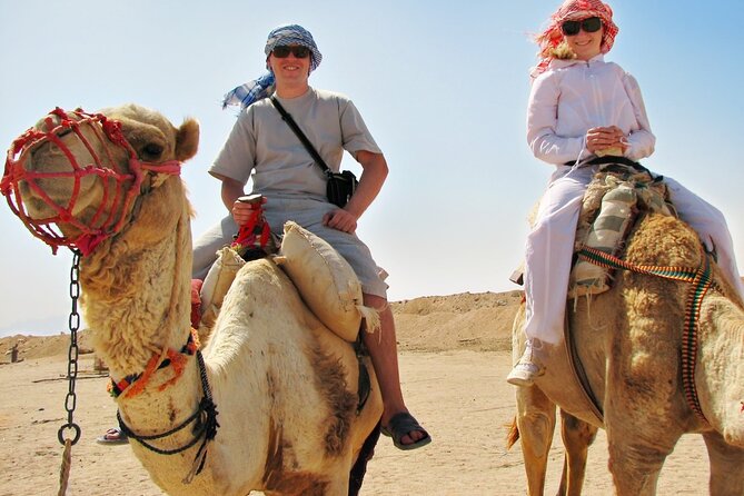 From Cairo: Desert Safari, Waterfalls, Sand boarding and Camel ride with Lunch - Quad Bike Mentions: Confirm What You’re Actually Getting