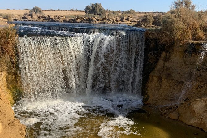From Cairo: Desert Safari, Waterfalls, Sand boarding and Camel ride with Lunch - Bedouin Camp BBQ Lunch and Tea: The Included Comfort Break