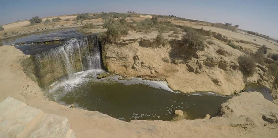 From Cairo: Fayoum Oasis and Wadi Al Rayan Guided Tour - Key things I’d bank on before you go
