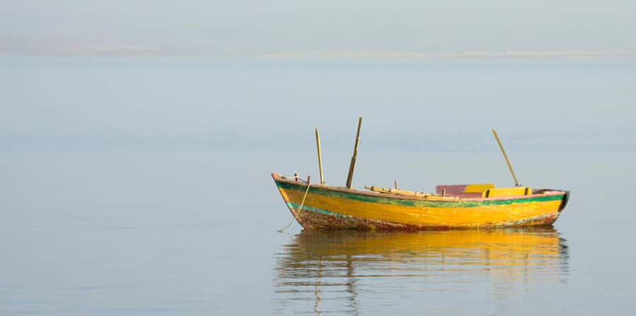 From Cairo: Fayoum Oasis and Wadi Al Rayan Guided Tour - Quaroun Lake birdlife and desert-lake photos you can actually use