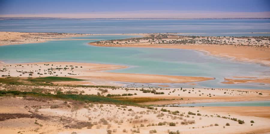 From Cairo: Fayoum Oasis and Wadi Al Rayan Guided Tour - Price and value: does $161 buy you a real escape from Cairo?