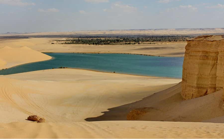 From Cairo: Full-Day Tour to El Fayoum - Quick Take: What Makes This El Fayoum Day Feel Worth It