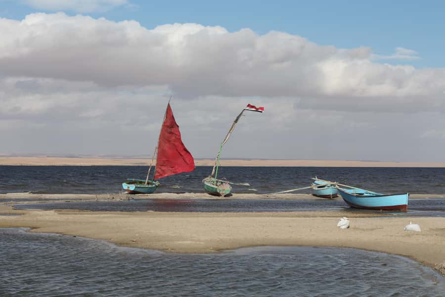From Cairo: Full-Day Tour to El Fayoum - Should You Book This El Fayoum Day Trip?