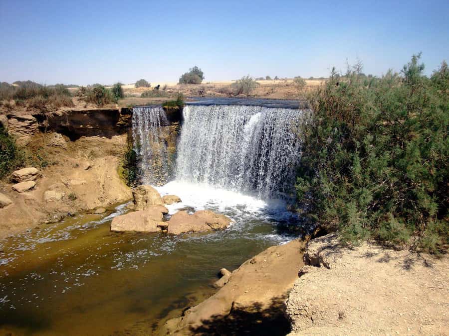 From Cairo: Full-Day Tour to El Fayoum - Getting Out of Cairo: The 07:00 Start and How to Plan Your Day