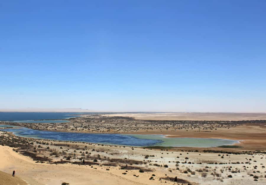 From Cairo: Full-Day Tour to El Fayoum - Price and Value: Is $100 Reasonable for This El Fayoum Circuit?