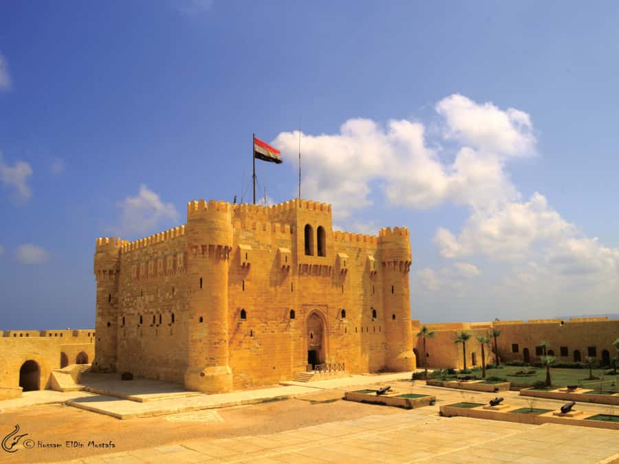 From Cairo: Private Full-Day Tour of Historical Alexandria - Timing and the real reason this tour feels long