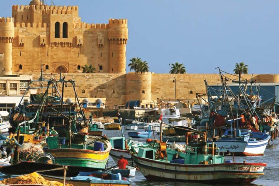 From Cairo: Private Full-Day Tour of Historical Alexandria - Kom el-Deka Roman Theater, where marble meets theater life