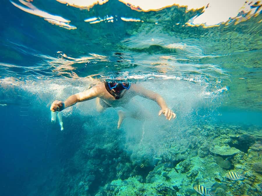 From Cairo: Snorkeling Trip on Yacht with Lunch - Key Things I’d Focus On