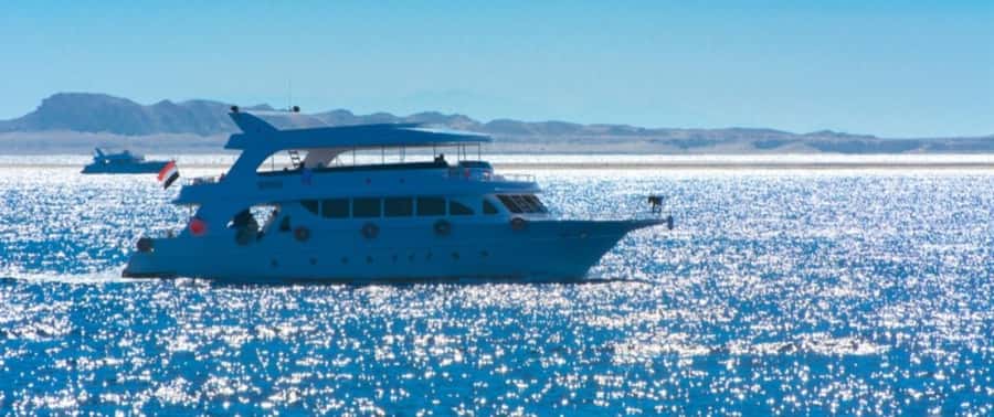 From Cairo: Snorkeling Trip on Yacht with Lunch - Onboard Life: Deck Time, Soft Drinks, and Lunch
