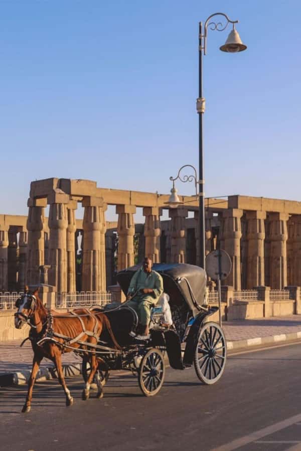 From Cairo: Trip to Luxor By Flight and King Tut Tomb Visit - Price and Logistics: Is $150 Good Value for a Flight Day?