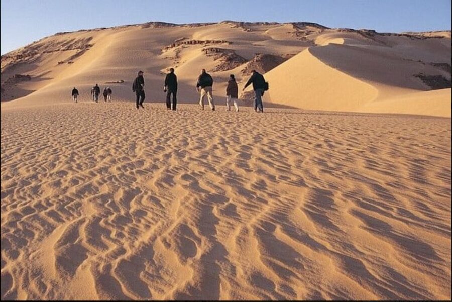 From Cairo: Whale Valley and Wadi El Rayan Waterfalls Tour - Key highlights you will actually care about