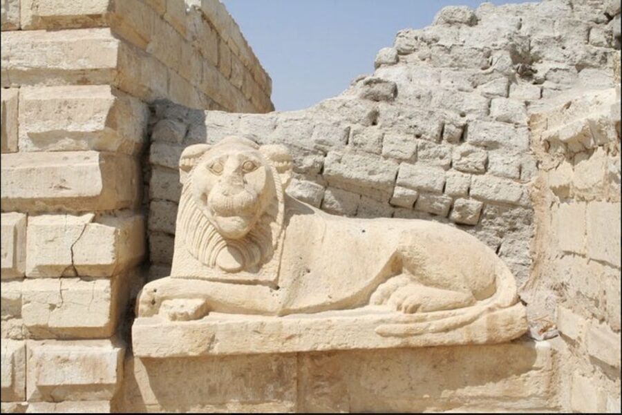 From Cairo: Whale Valley and Wadi El Rayan Waterfalls Tour - Why Fayoum, Qarun, and Whale Valley belong on your Egypt route