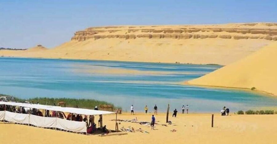 From Cairo: Whale Valley and Wadi El Rayan Waterfalls Tour - Qarun Lake: one of the world’s oldest natural lakes