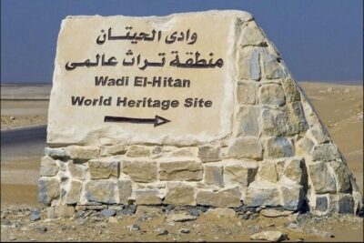 Whale Valley and Wadi El Rayan Waterfalls Tour