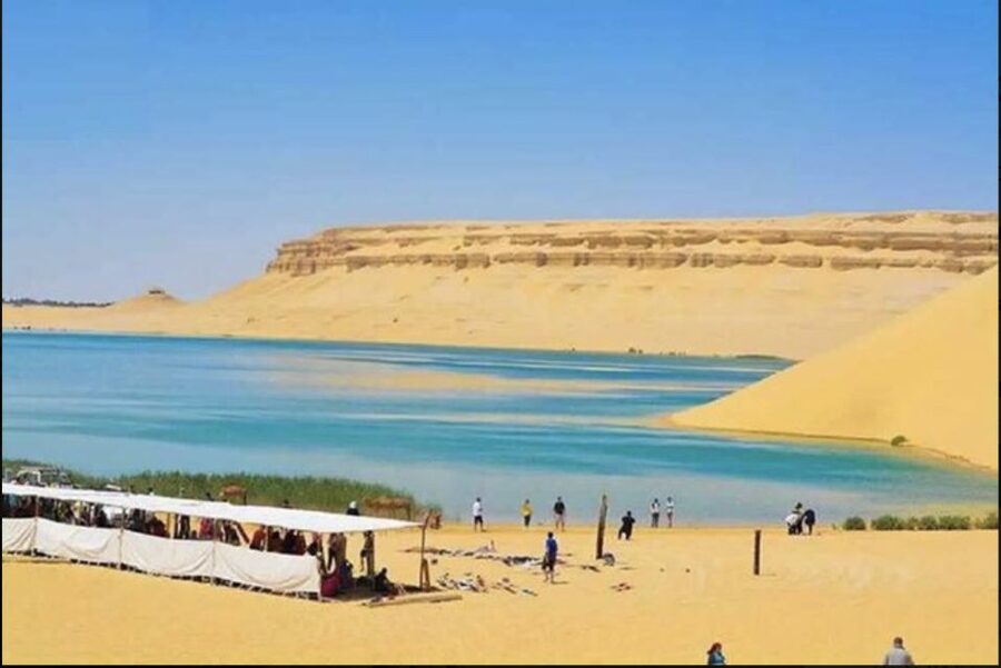From Cairo: Whale Valley and Wadi El Rayan Waterfalls Tour - Guides that make the day feel smooth, like Tigo, Sherif, and Abdul