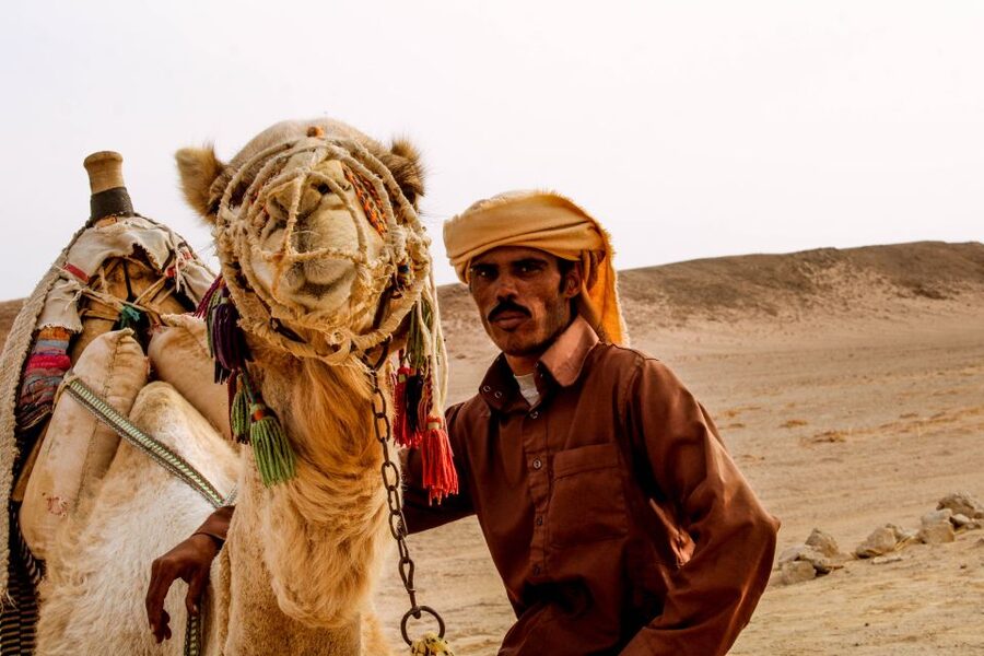 From El Gouna: Dry Canyon Quad Bike Morning Tour - Dry Canyon in Wadi Billy: the fossil stop that makes the ride smarter