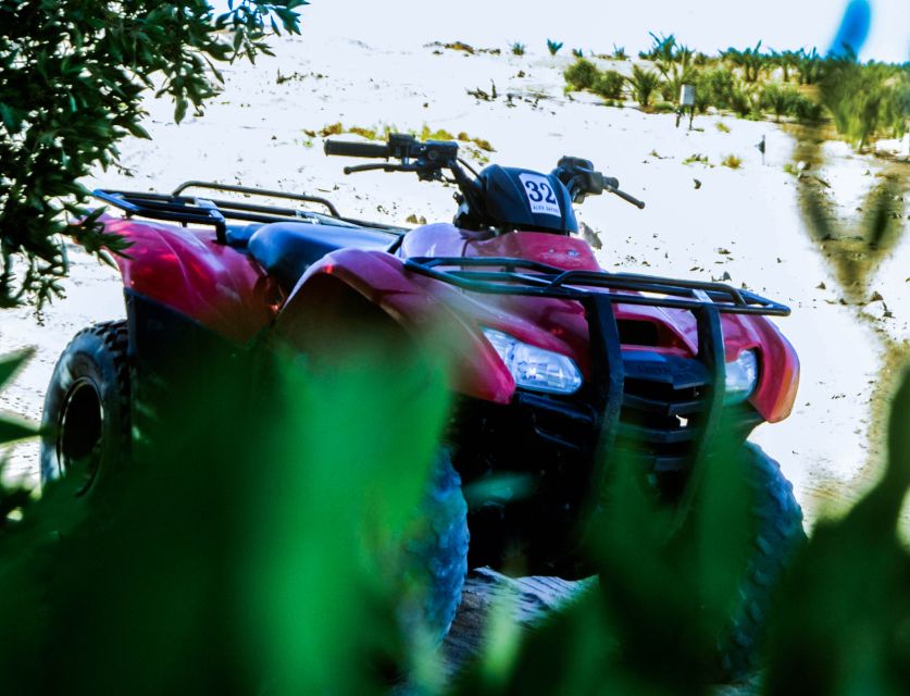 From El Gouna: Dry Canyon Quad Bike Morning Tour - Guide quality: why it changes the whole trip