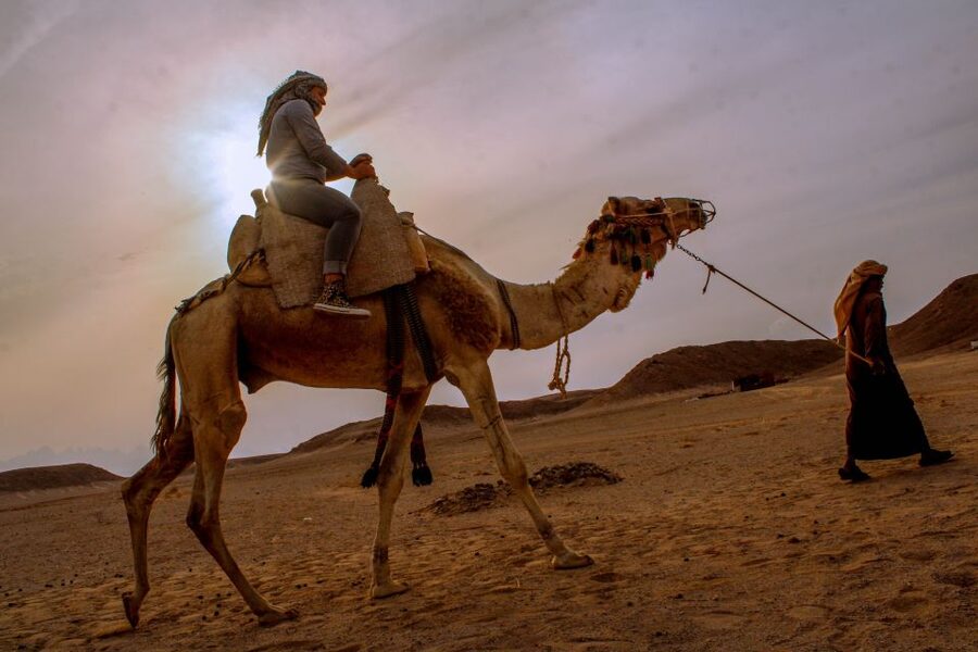 From El Gouna: Dry Canyon Quad Bike Morning Tour - The real comfort checklist: who should go, and who should skip it