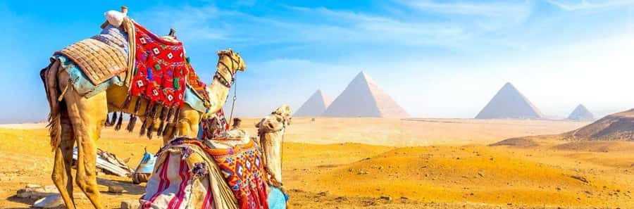 From Giza: Day tour to Giza Pyramids Tour with Pickup - Pickup and Timing for a 4-Hour Pyramids Day