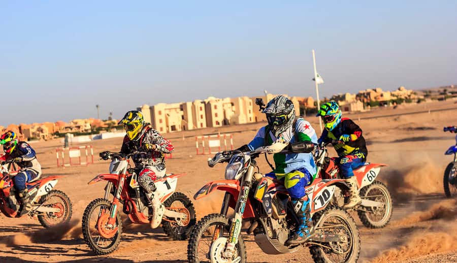 From Hurghada: El Gouna Quad and MX Bike Safari Tour - What you will feel on a quad or MX bike (and how to match it to you)