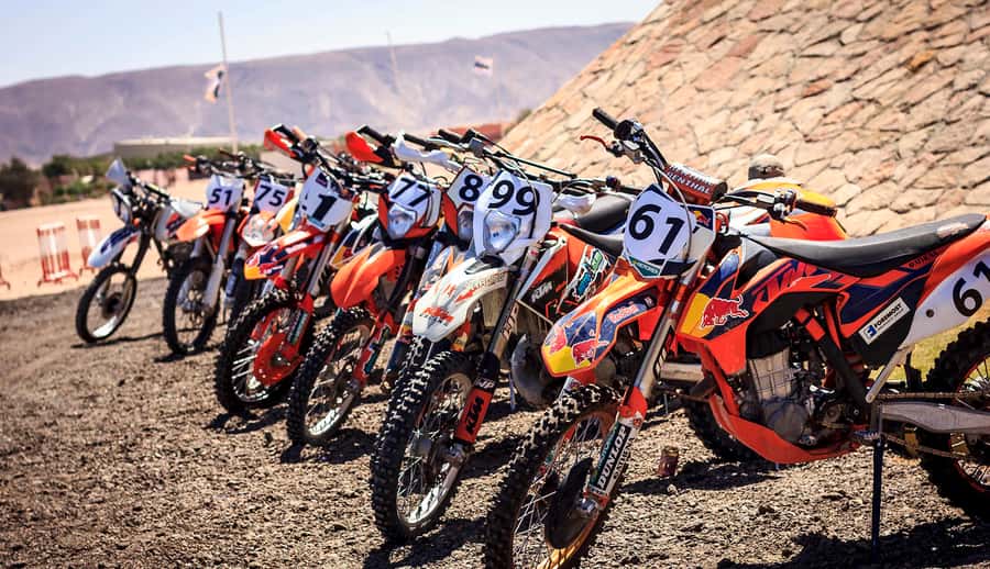 From Hurghada: El Gouna Quad and MX Bike Safari Tour - Price and value: what $134 buys you in real riding time