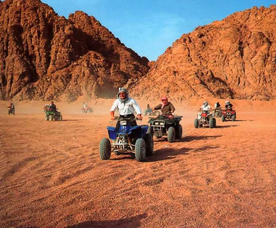 From Hurghada: El Gouna Quad and MX Bike Safari Tour - The staff and equipment side: fun energy, but stay alert