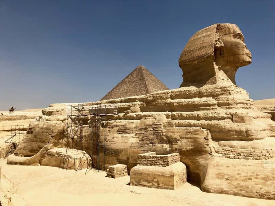 From Hurghada: Full-Day Trip to Cairo by Plane - Key highlights that make this tour work