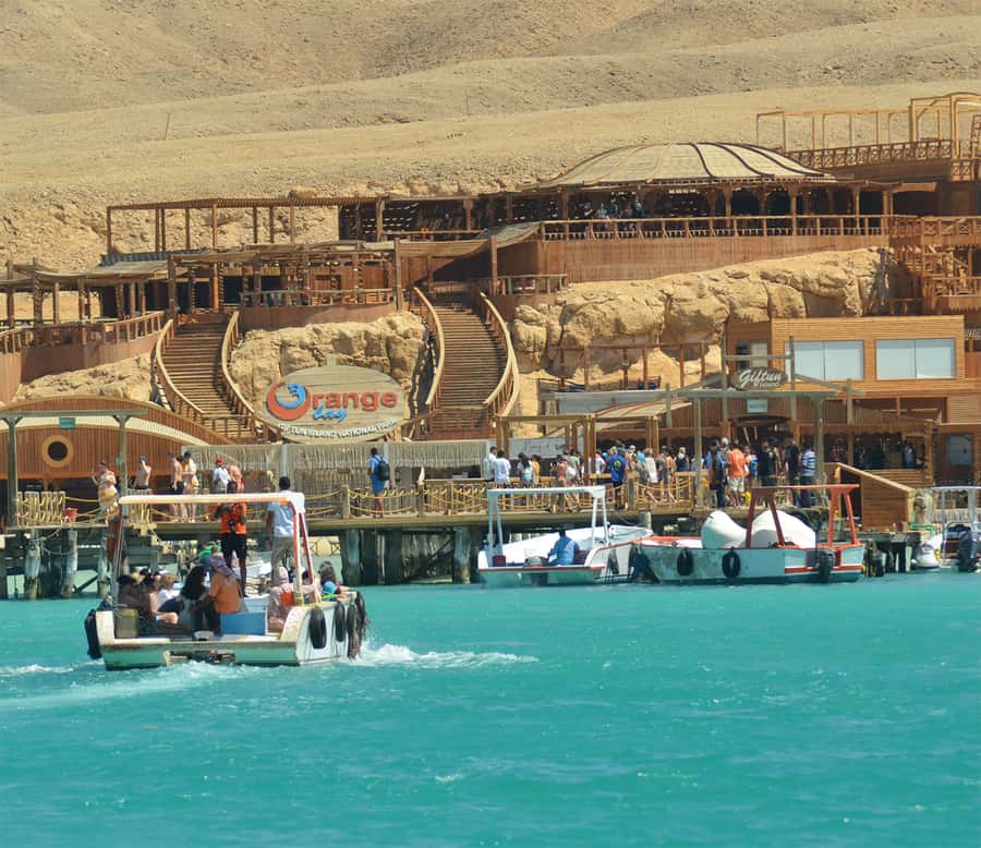 From Hurghada: Giftun Island Cruise with Lunch & Watersports - Who This Cruise Is Best For (And Who Might Prefer Something Else)