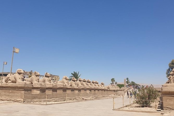 From Hurghada Individual excursion to Luxor & the Valley of the Kings - Colossi of Memnon: a quick stop that gives you scale