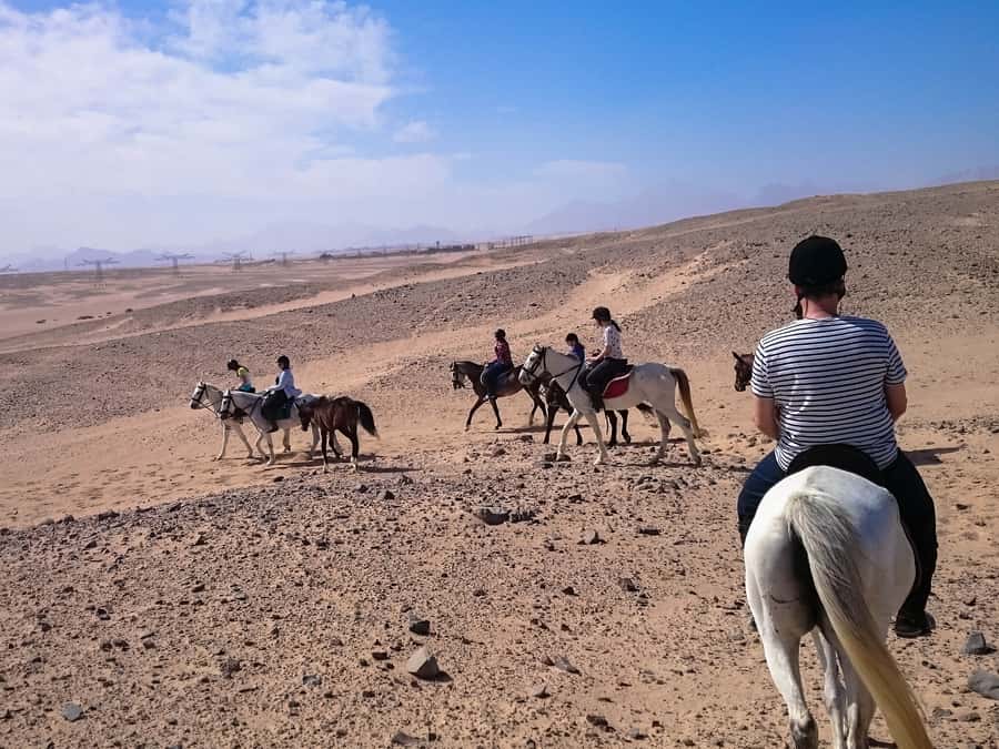 From Hurghada: Makadi Bay Horse Riding Tour - Quad plus horse, if you want speed and slow in the same morning