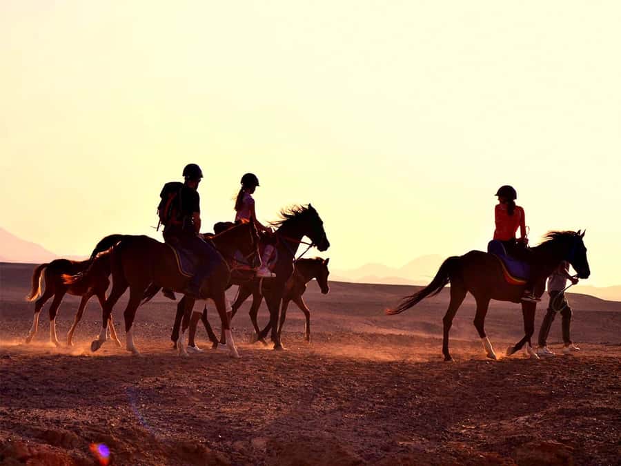 From Hurghada: Makadi Bay Horse Riding Tour - Transfers and getting there without losing half a day