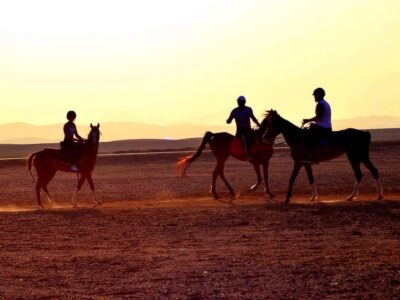 Makadi Bay Horse Riding Tour