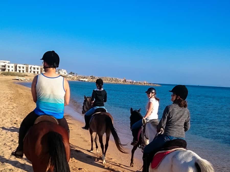 From Hurghada: Makadi Bay Horse Riding Tour - What happens at the base before you mount up