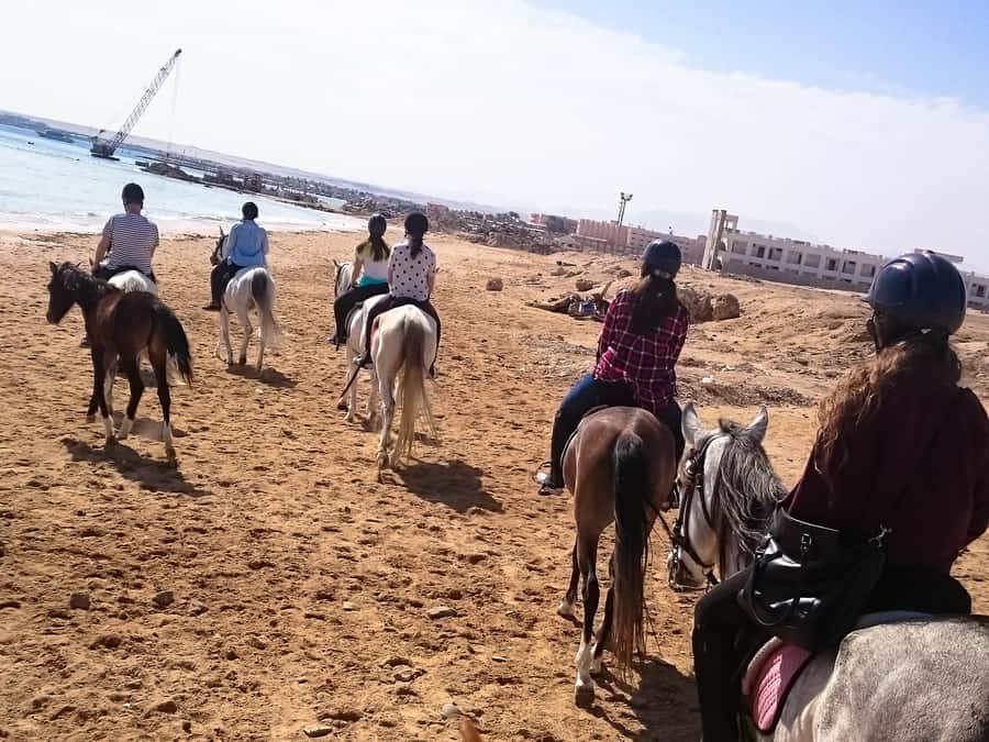 From Hurghada: Makadi Bay Horse Riding Tour - The 2-hour horse ride, what you get for $20