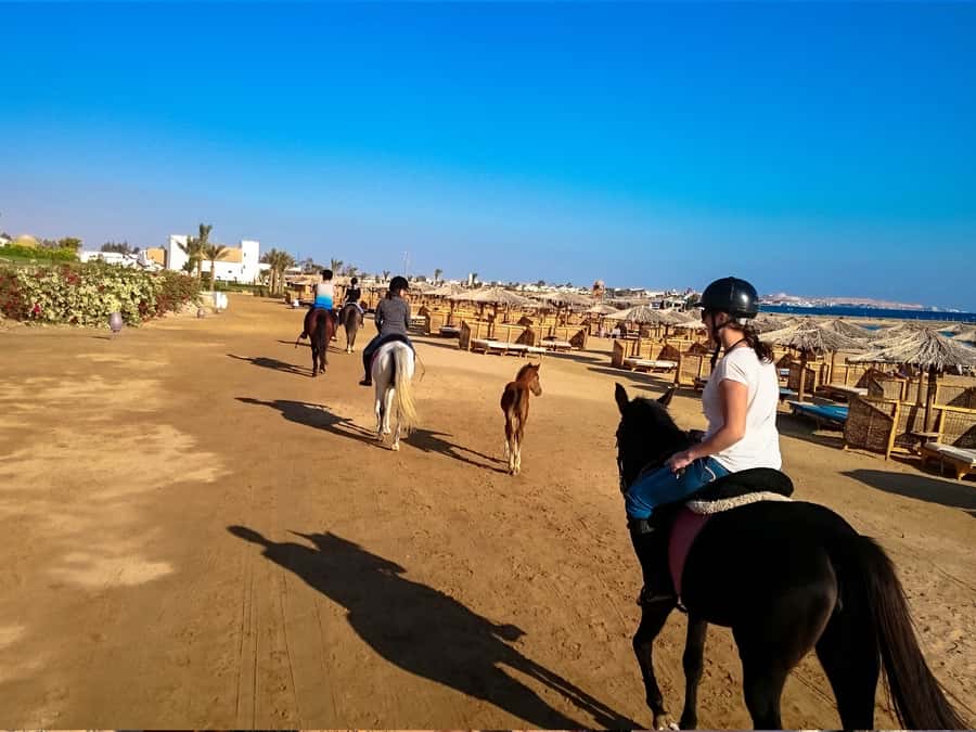 From Hurghada: Makadi Bay Horse Riding Tour - Swim stop VIP option, what changes in the 4-hour experience