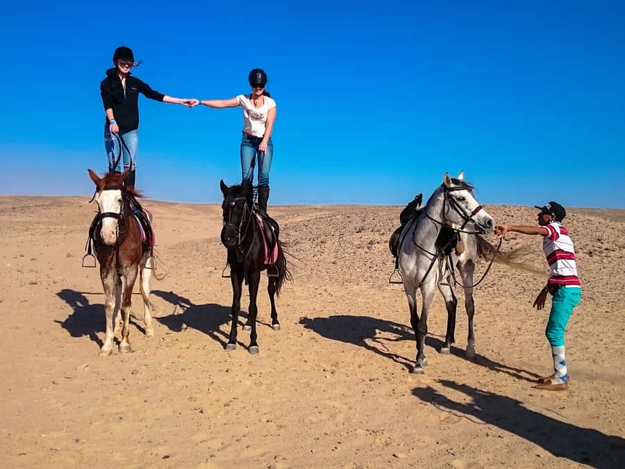 From Hurghada: Makadi Bay Horse Riding Tour - Stargazing, dinner, and show for the sunset crowd
