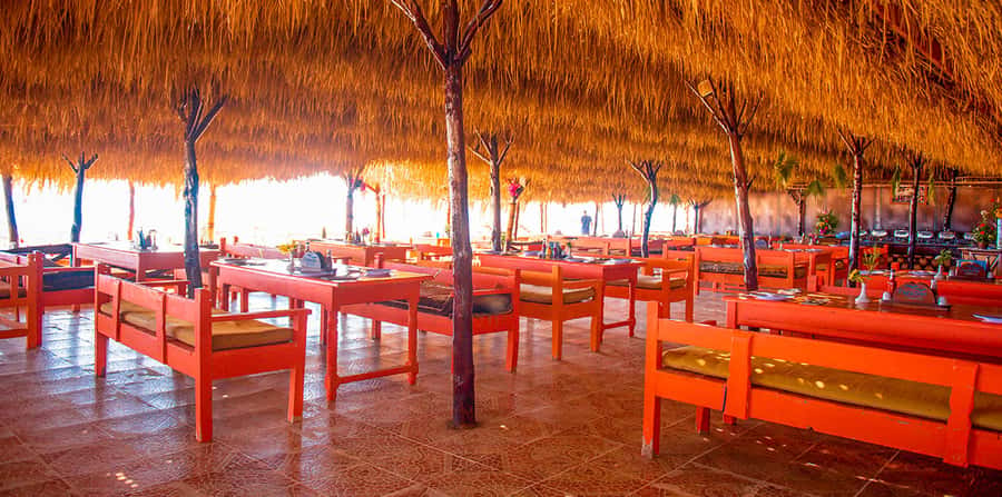 From Hurghada: Paradise Island Snorkeling Cruise with Lunch - Snorkeling on the Red Sea: Gear, Guidance, and When It Clicks